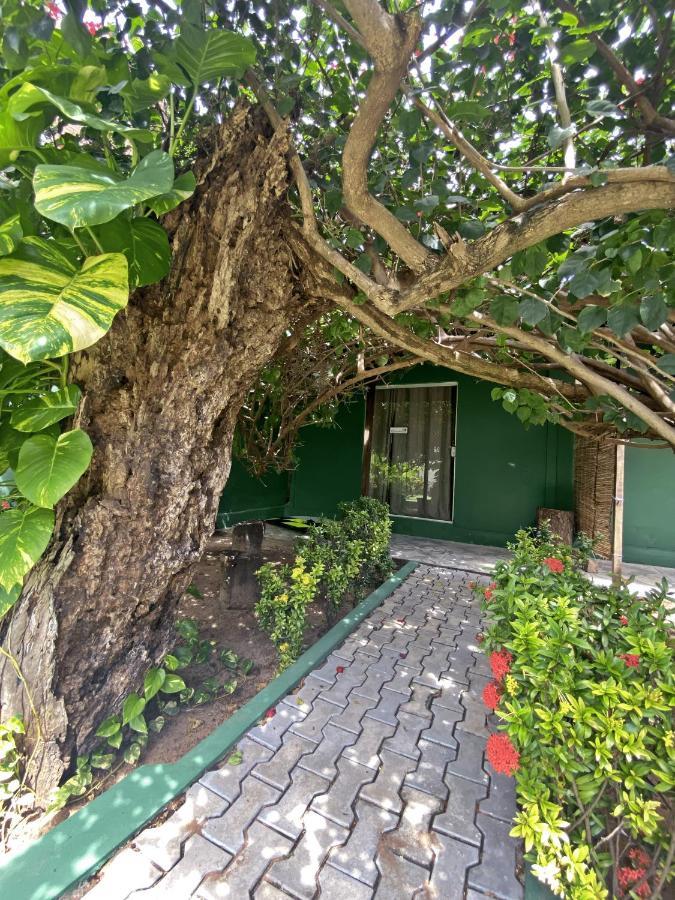 Free! Hostel Vila Praia de Pipa Exterior photo